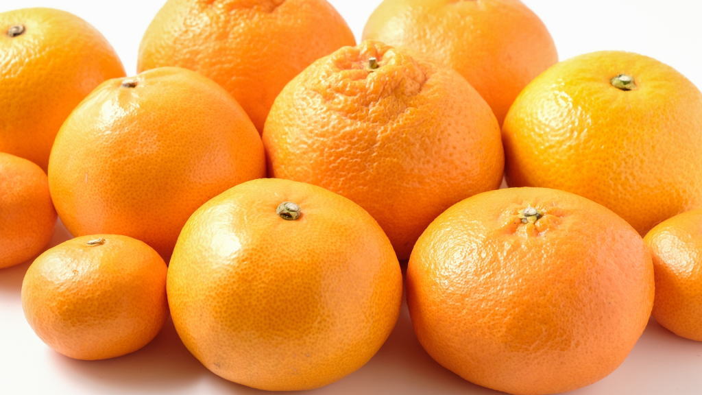 柑橘類のネット通販のイメージ画像
